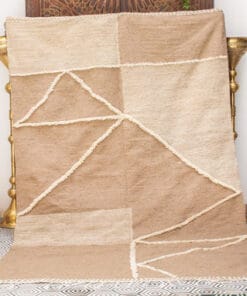 Chomicha Brown and Beige Rug