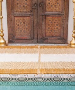 Zebra Orange and White Rug