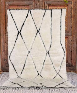 Inasa Black and White Area Rug