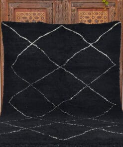 Ala Black and White area Rug