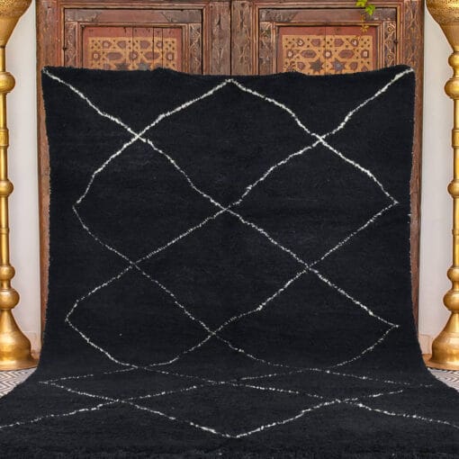 Ala Black and White area Rug