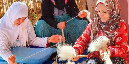 Berber women preparing and spinning wool by hand for Moroccan rug making